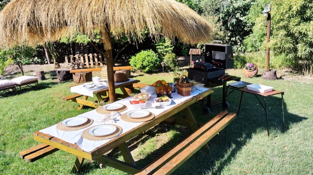 Area de parrilla y picnic en los jardines de La Dame-Jeanne